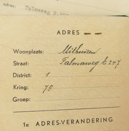 18947_5