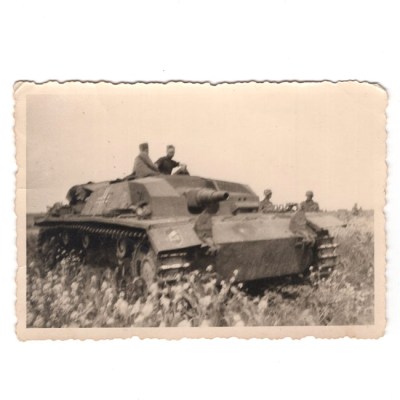 20194-(4)