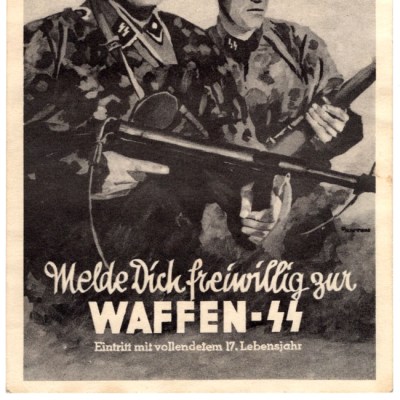 24511-(3)