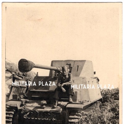 25437-(2)