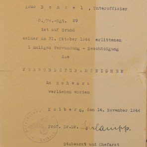 CJVN06R_16